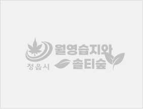 이미지 없음