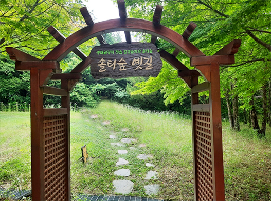 솔티숲01