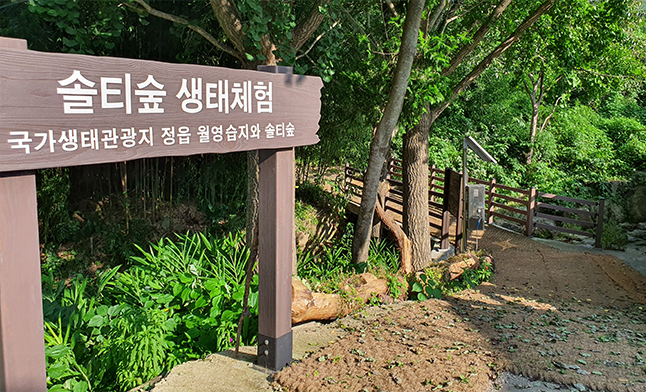 솔티숲02