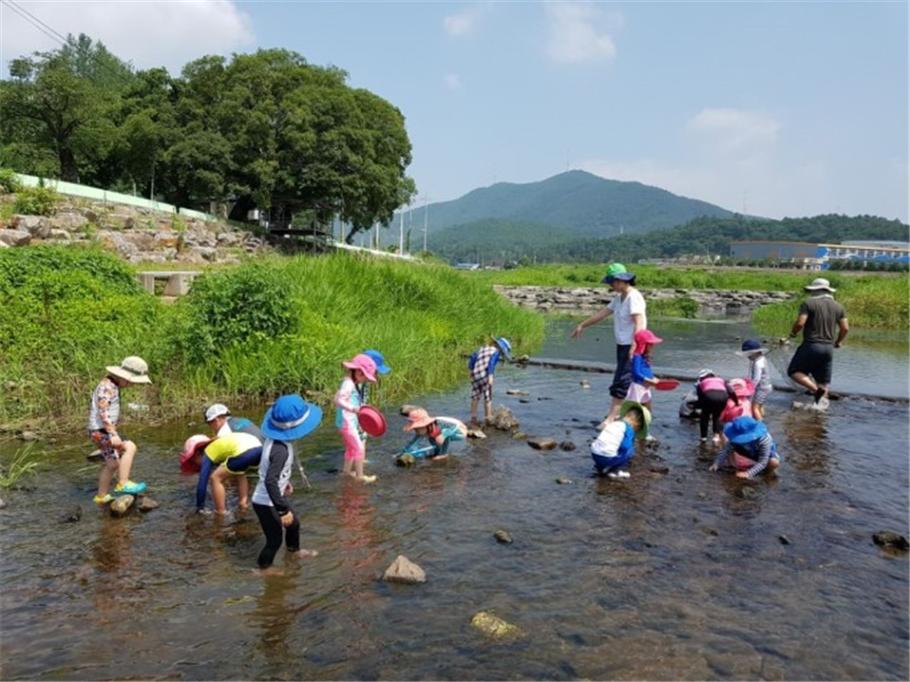 수서식물 & 곤충 관찰하기