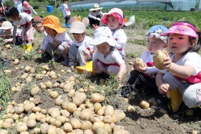 농산물 수확 체험